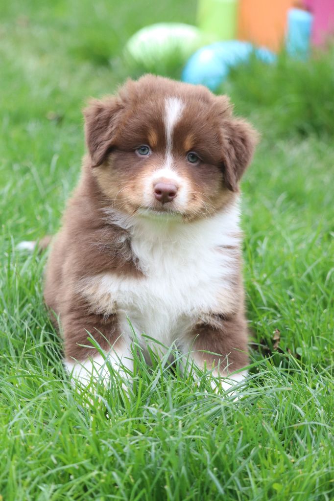 ANSE A LA GOURDE dit Appie