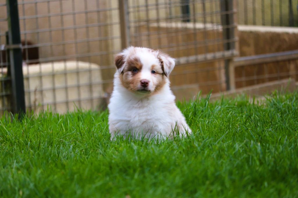 Anse du petit bas vent dit Ada