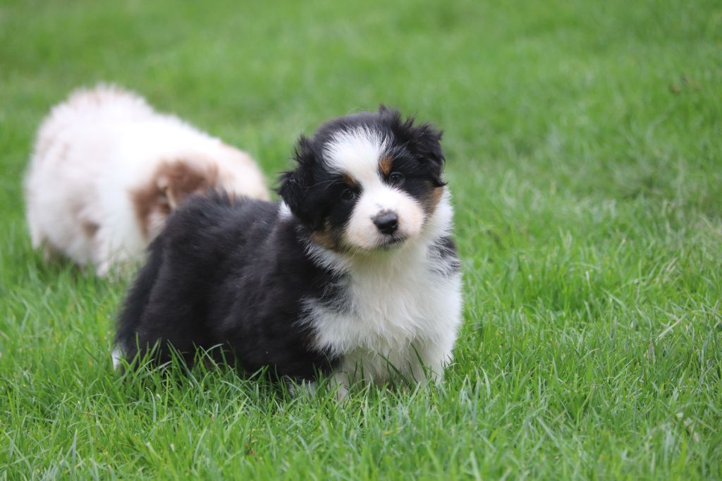 Anse des îles dit Lucie