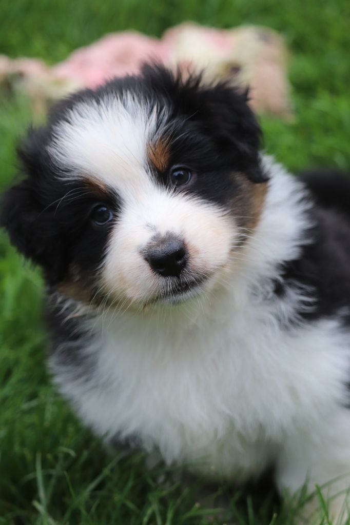 Anse des îles dit Lucie