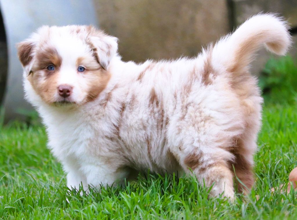 Anse du petit bas vent dit Ada