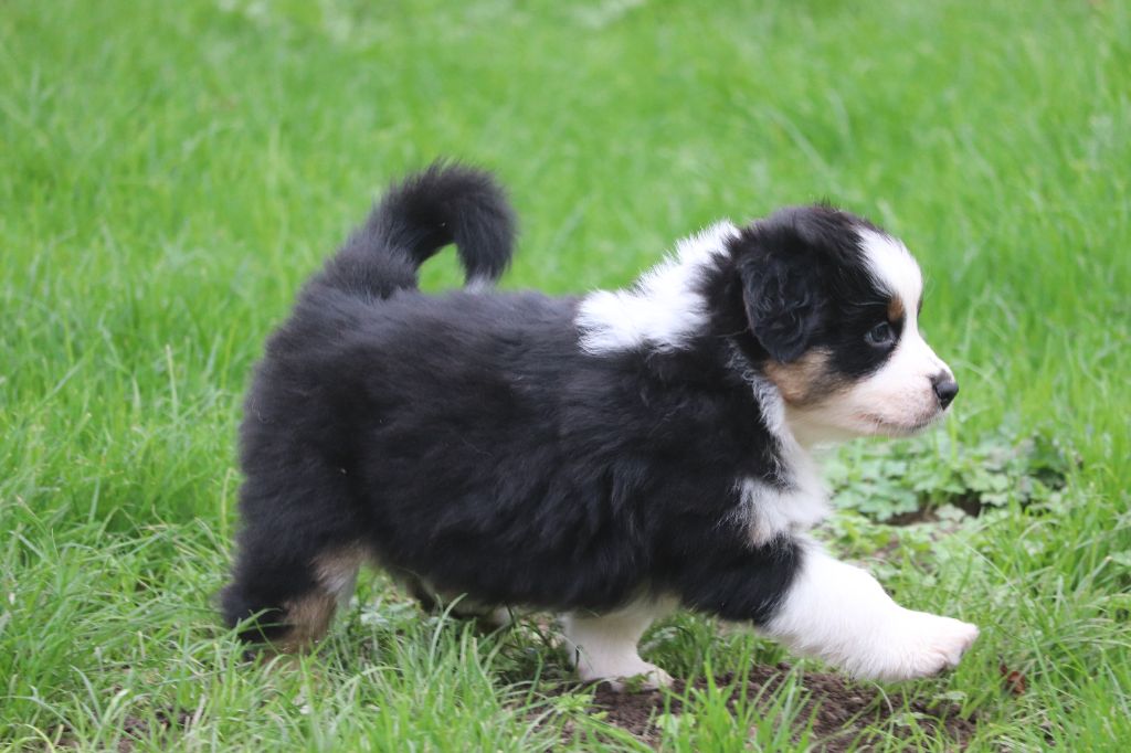 Anse des îles dit Lucie