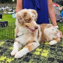 Viking freyja déesse vanir des Caps et Marais d'Opale - 4éme Très Prometteur en classe Baby