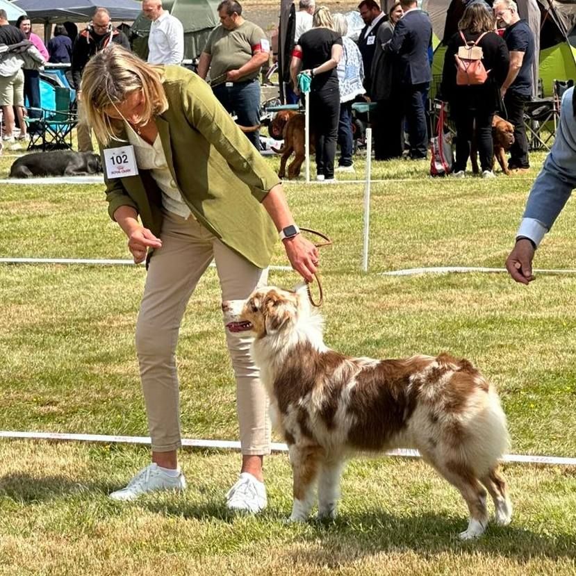 Viking freyja déesse vanir des Caps et Marais d'Opale - 1ére excellent, Cacs jeune, classe jeune