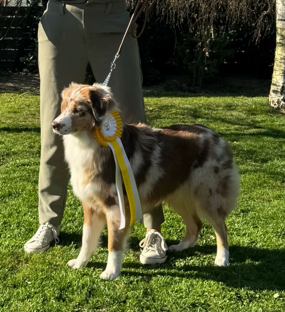 Viking freyja déesse vanir des Caps et Marais d'Opale - 4éme Très Prometteur, en classe jeune