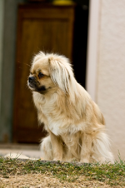 Publication : des Hauts Flamboyants Auteur : @LHF 2012