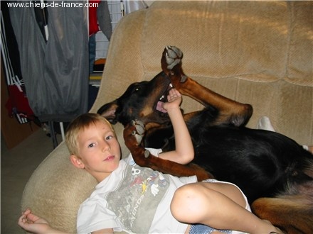 Publication : de La Haie d'Ipson