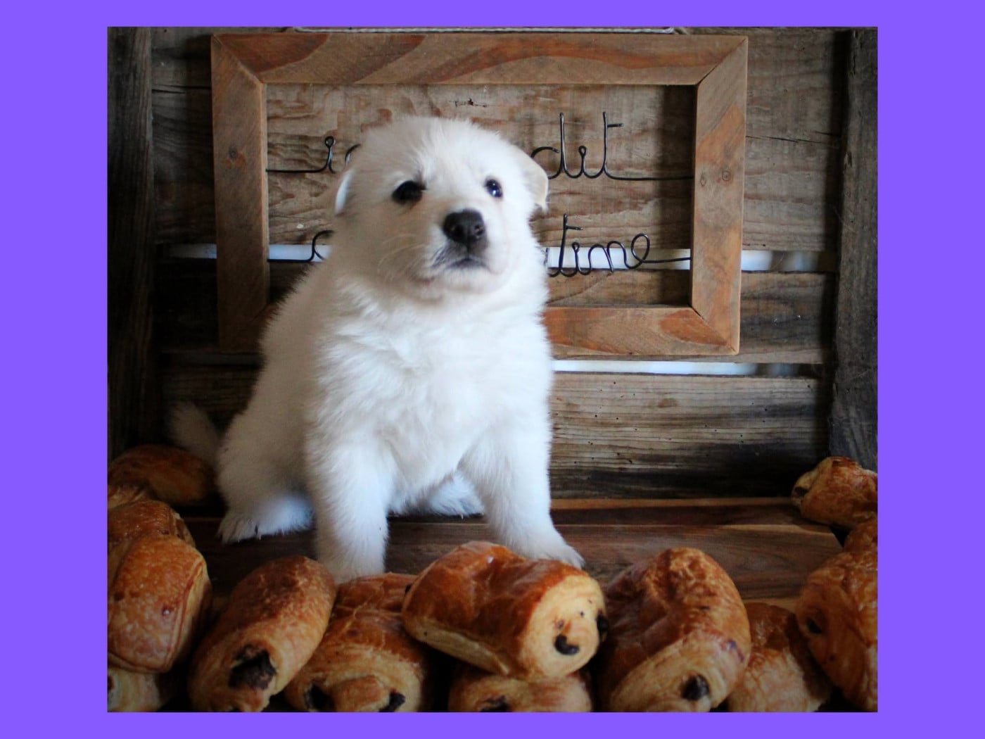 Miss Violette