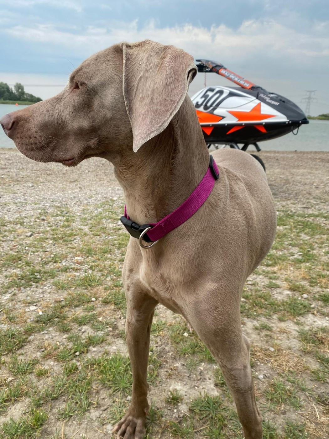 Publication : Fantome Gris De La Vallee