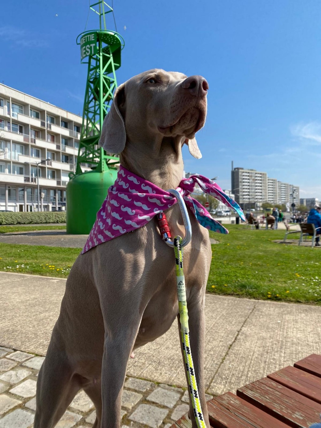 Publication : Fantome Gris De La Vallee