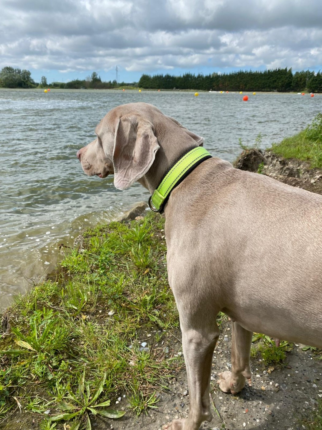 Publication : Fantome Gris De La Vallee