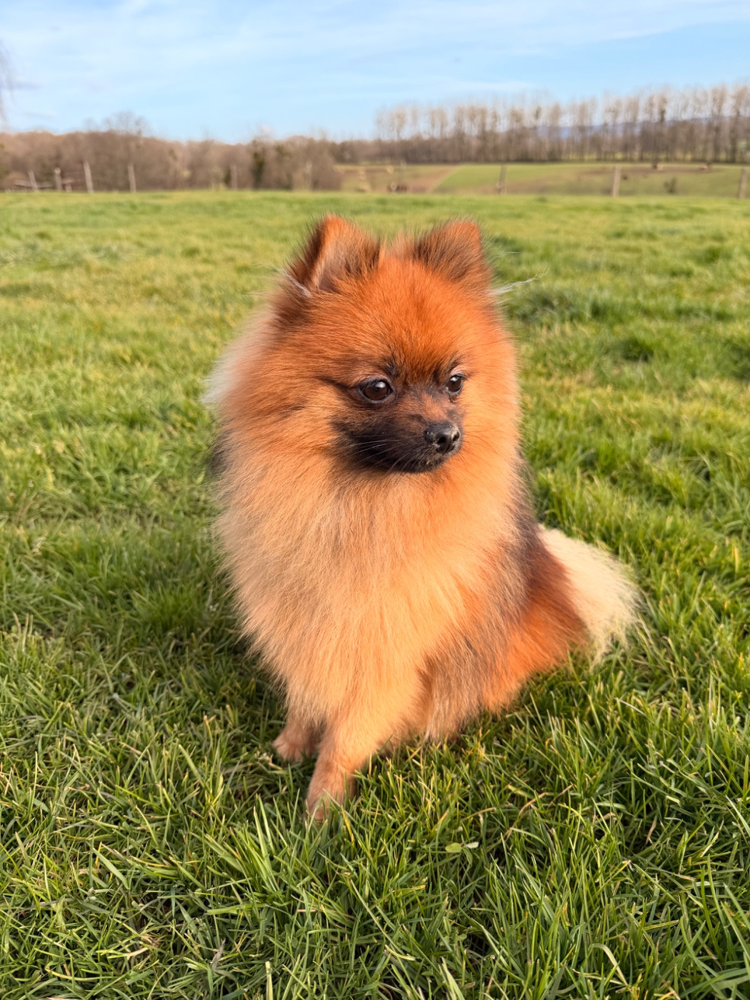 Publication : Constance Ingelaere