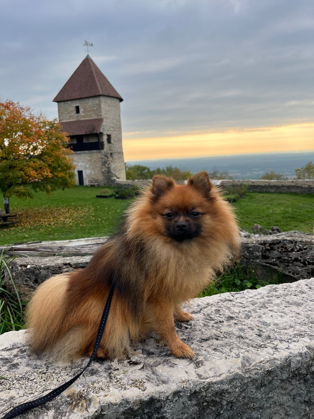 Publication : Constance Ingelaere