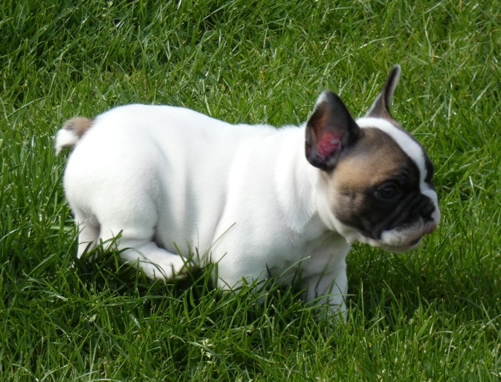 Publication : Kelly BOUVIEZ