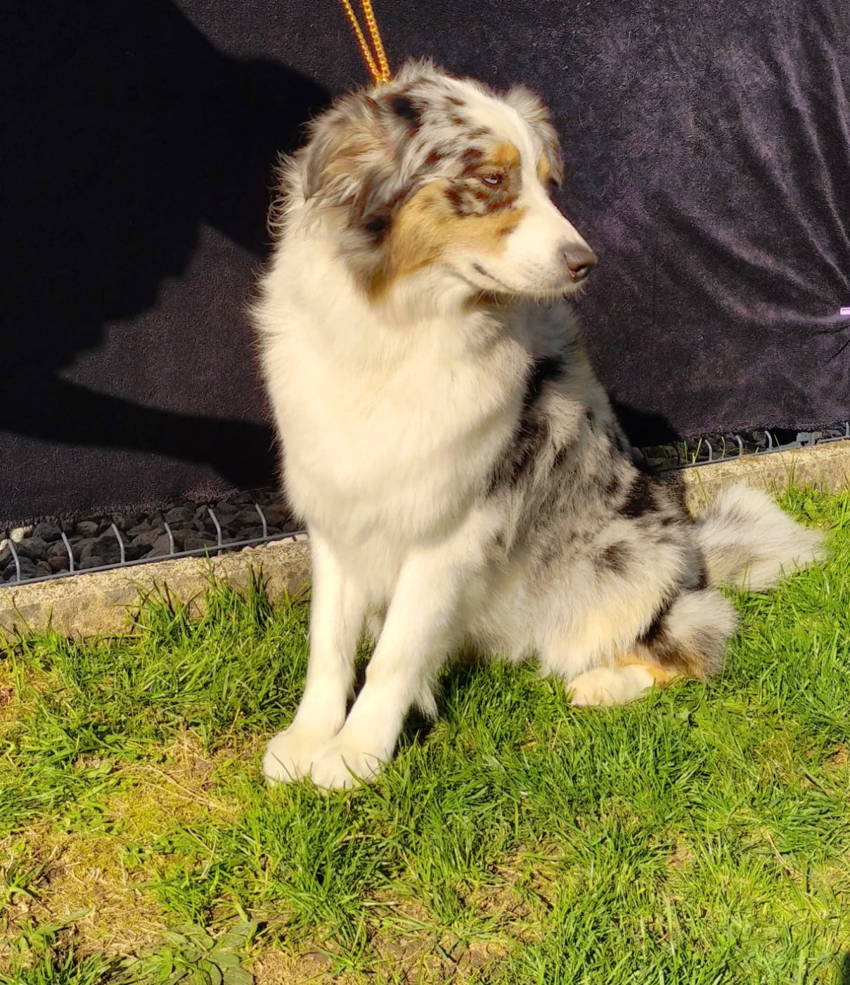 Publication : du domaine de la commanderie Auteur : Du domaine de la commanderie