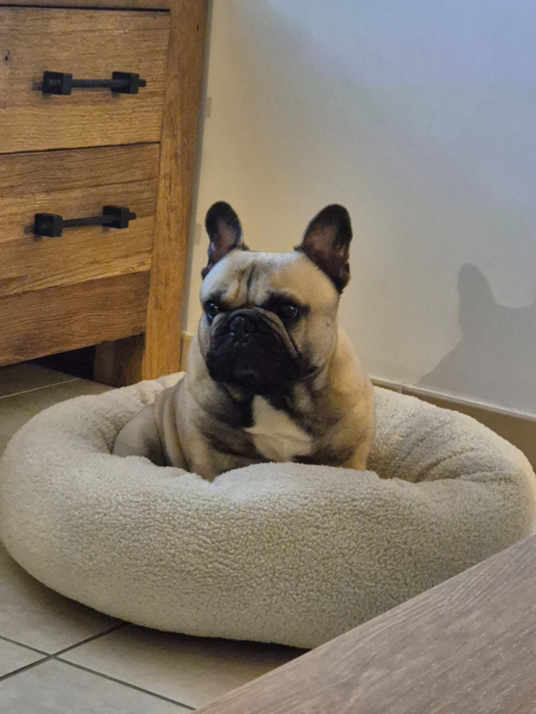 Publication : Laetitia COURBOIN Auteur : Laetitia