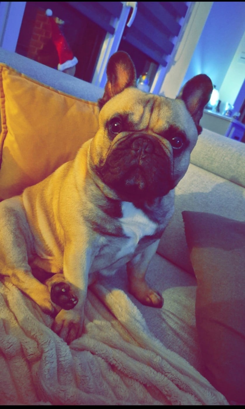 Publication : Laetitia COURBOIN Auteur : Laetitia