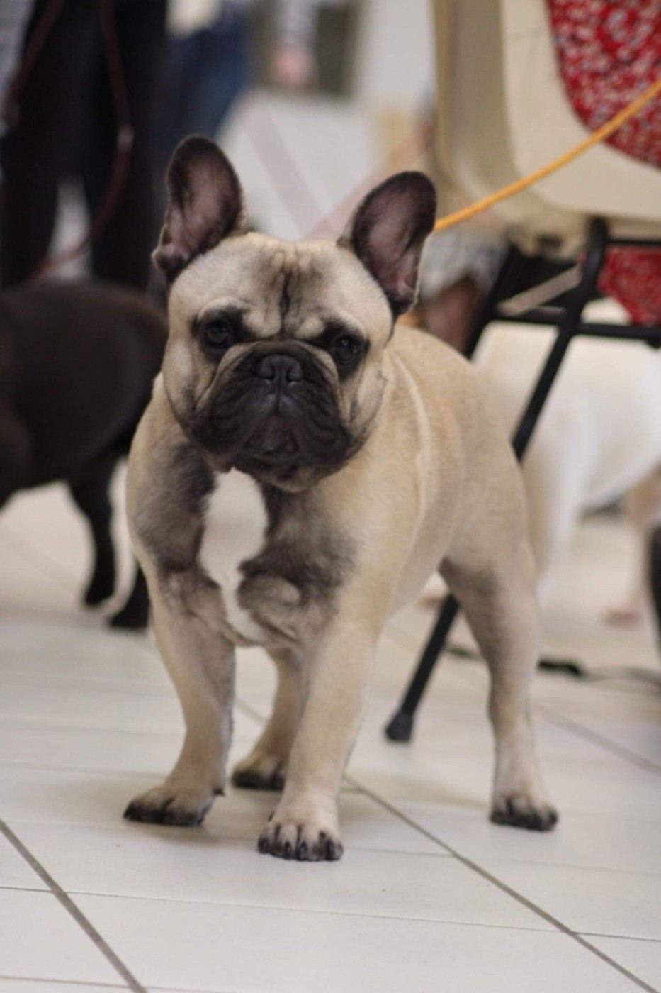 Publication : Laetitia COURBOIN Auteur : Laetitia