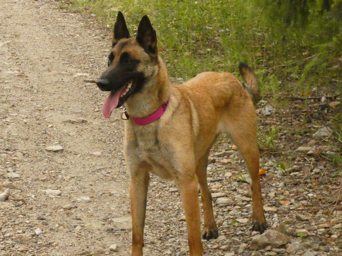 Publication : Du Bois De Larnède