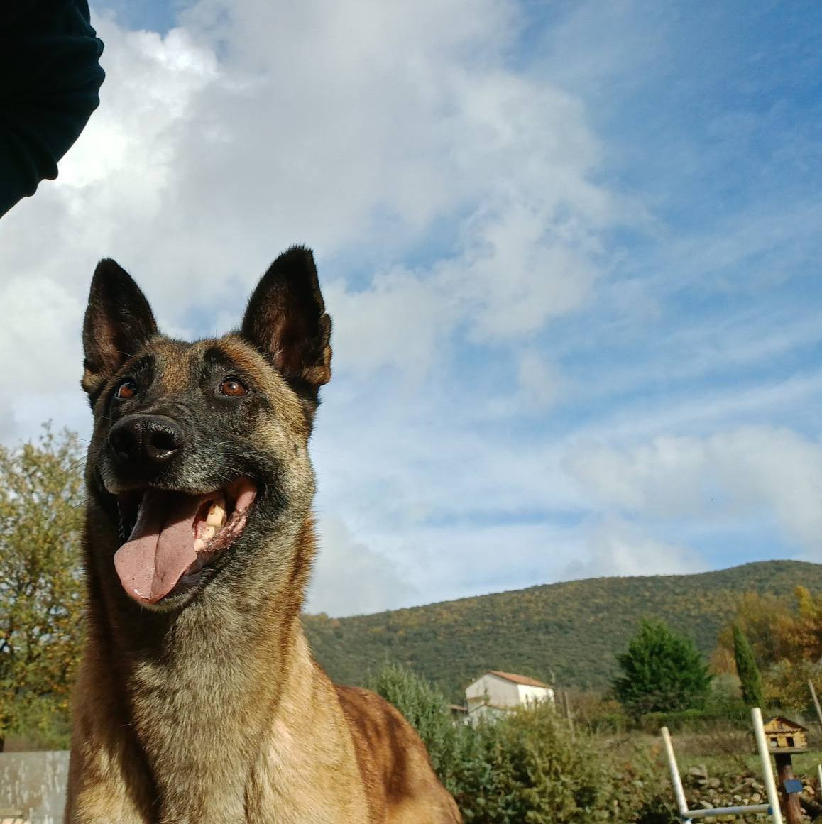 Publication : Du Bois De Larnède