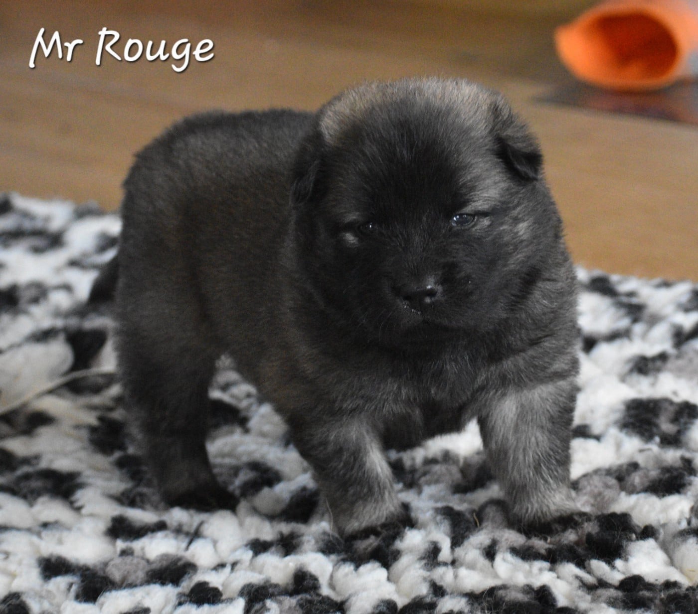 M rouge