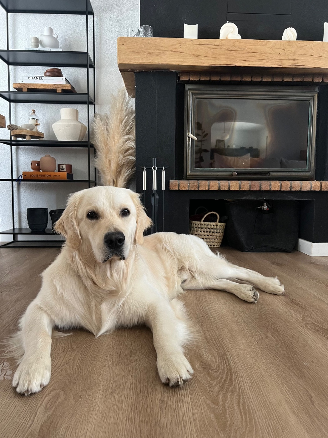 Publication : Romain Schenck