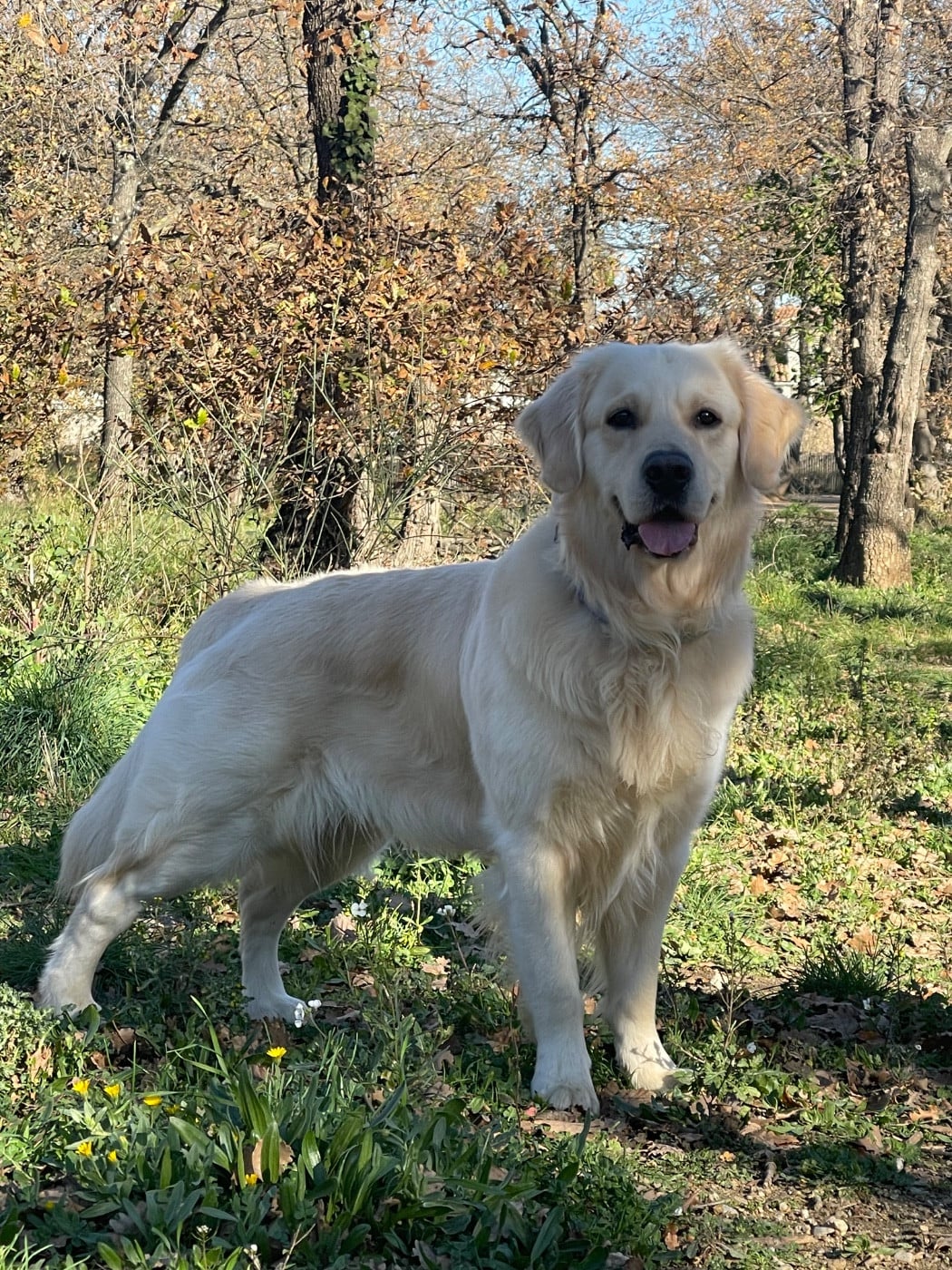 Publication : Romain Schenck