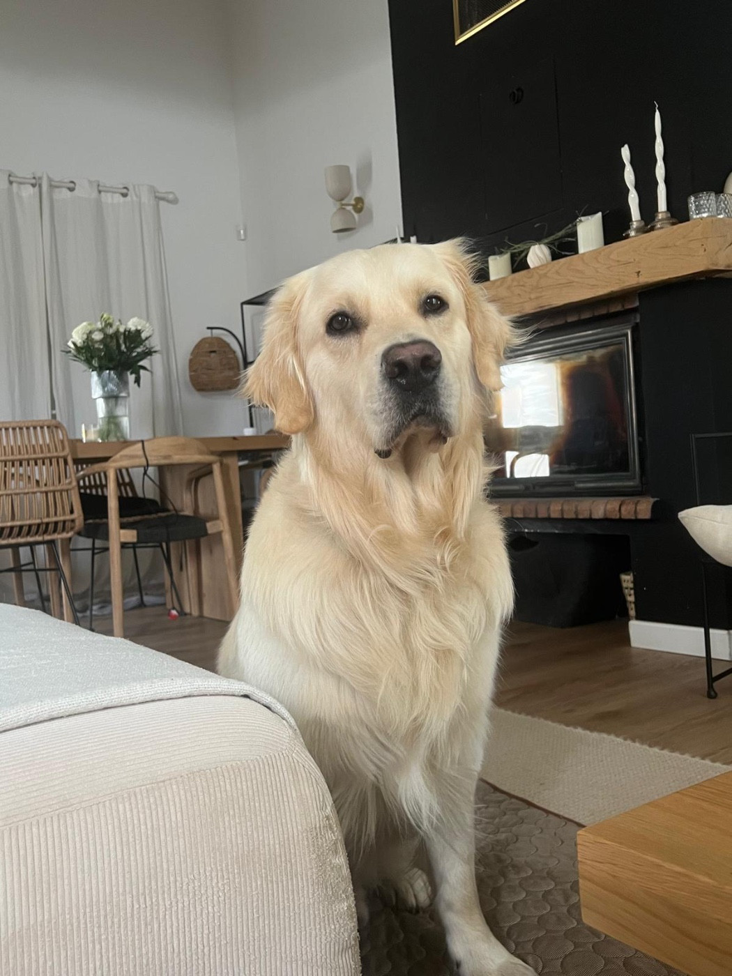 Publication : Romain Schenck