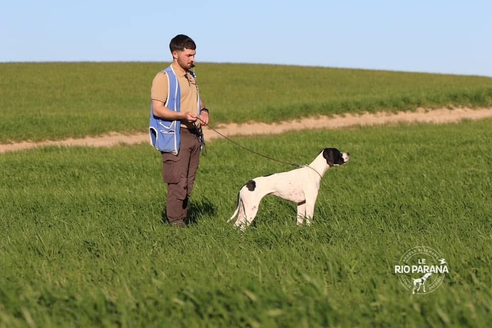 TR. Suki Des Plaines De Berloch