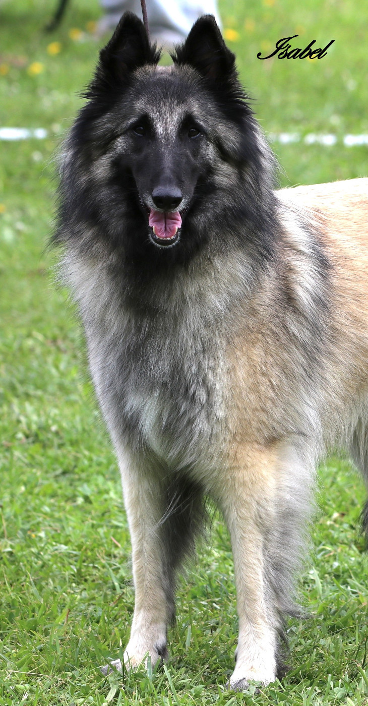 Publication : Des Gardiens Des Druides