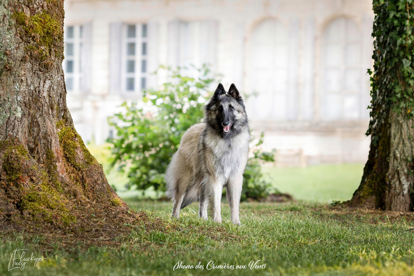 Publication : Des Gardiens Des Druides