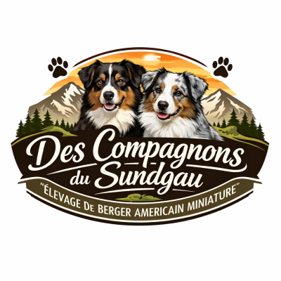 Des Compagnons Du Sundgau
