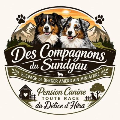 Des Compagnons Du Sundgau