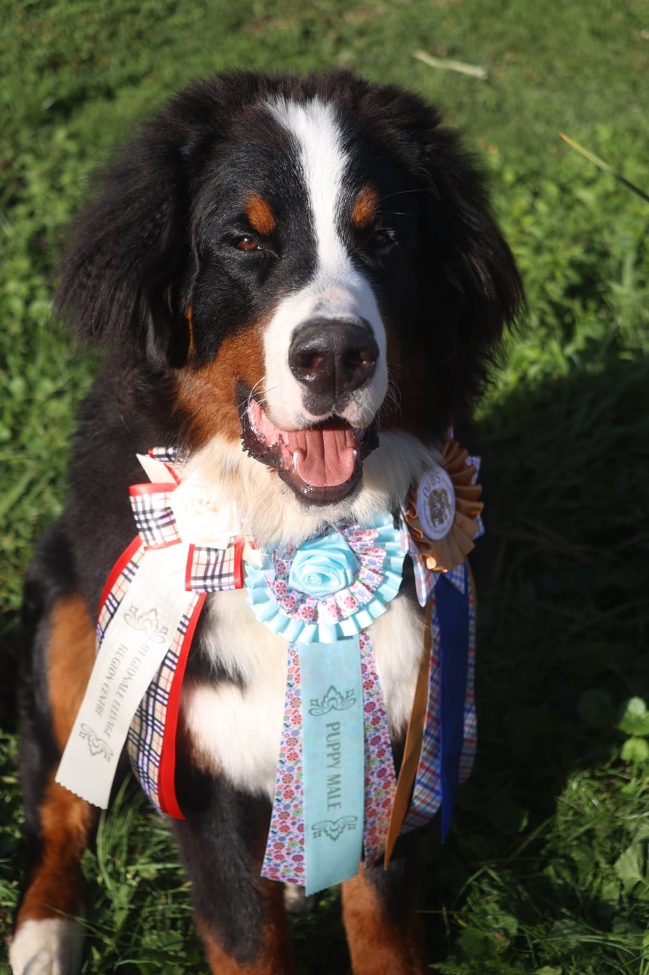 Publication : Mélina BIGOT Auteur : Mélina B.