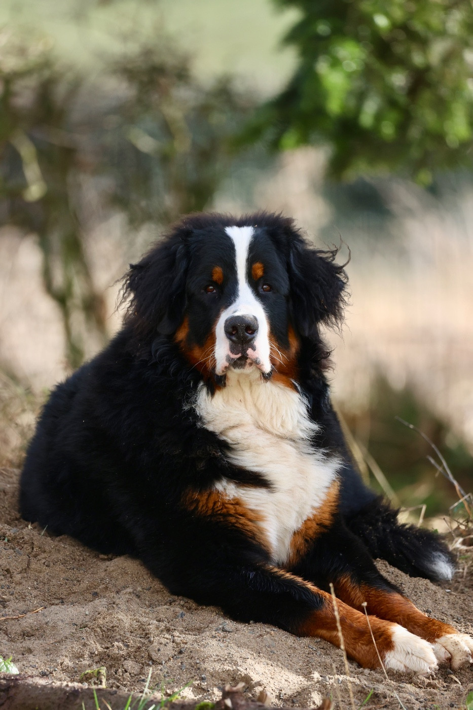 Publication : Mélina BIGOT Auteur : Mélina B.