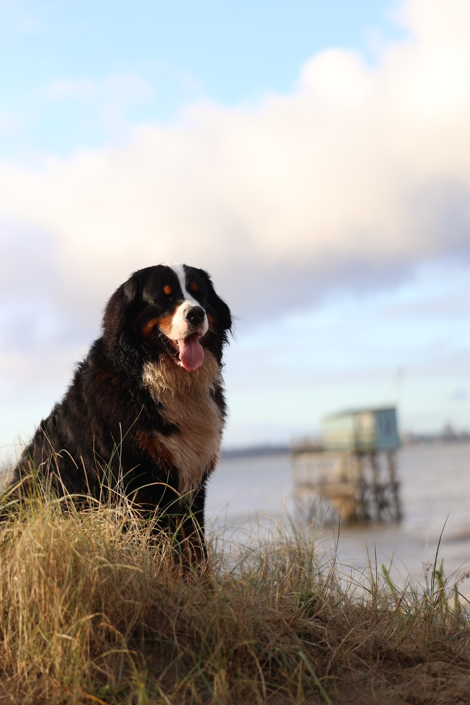 Publication : Mélina BIGOT Auteur : Mélina B.