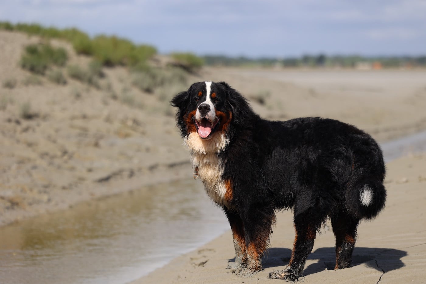 Publication : Mélina BIGOT Auteur : Mélina B.