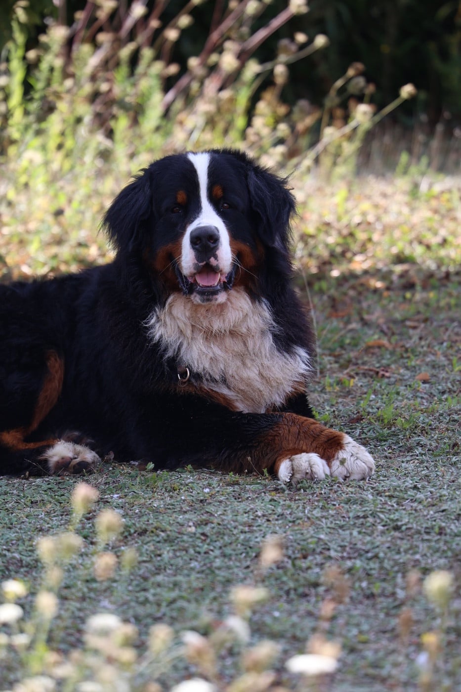 Publication : Mélina BIGOT Auteur : Mélina B.