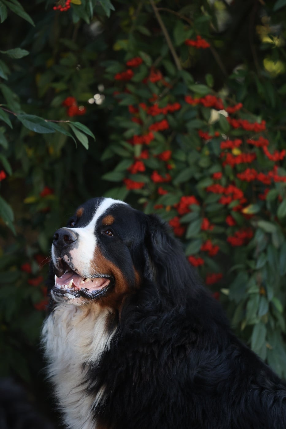 Publication : Mélina BIGOT Auteur : Mélina B.