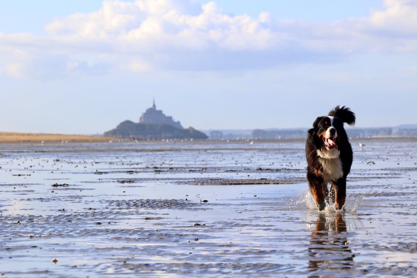 Publication : Mélina BIGOT Auteur : Mélina B.