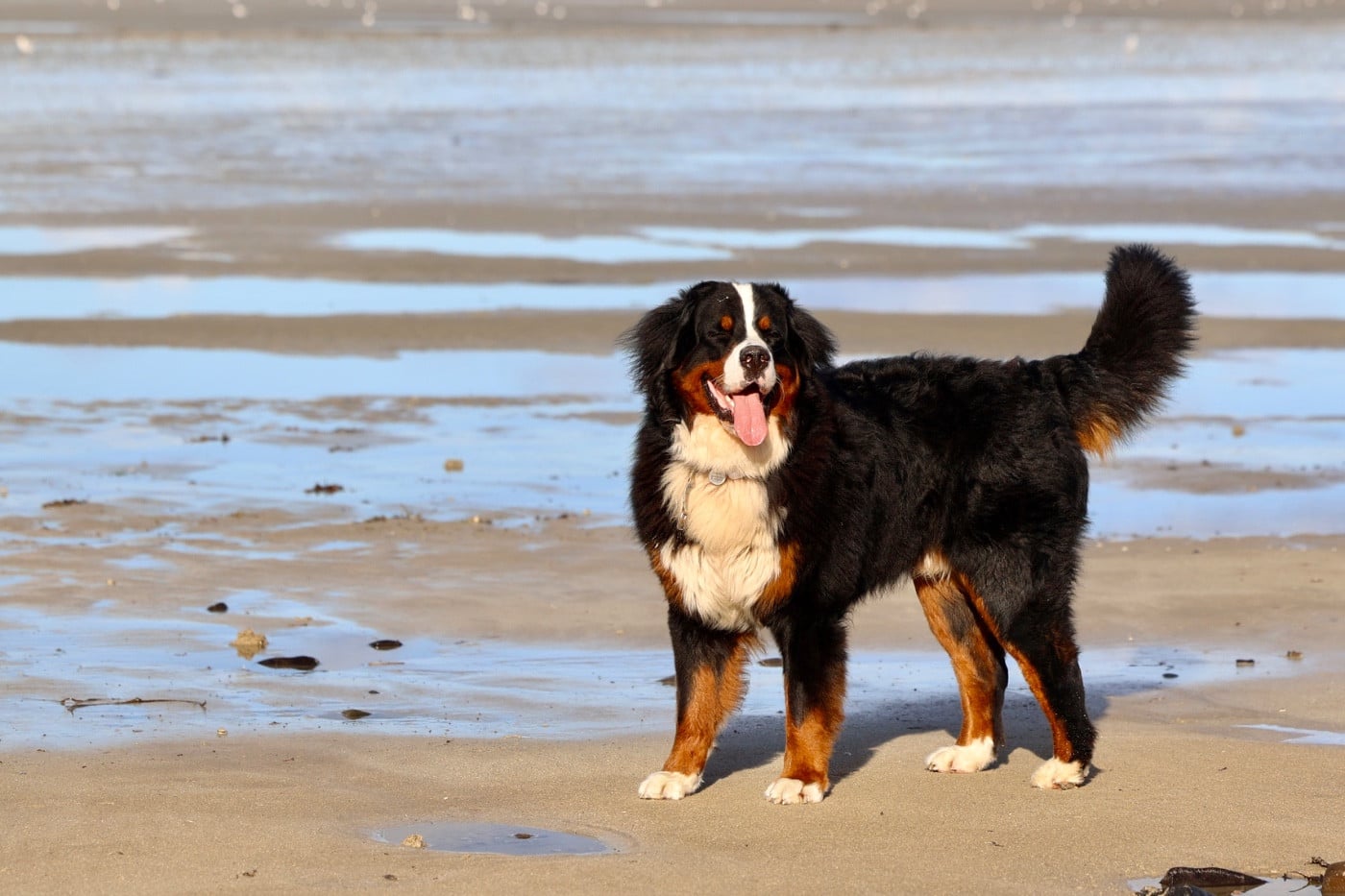 Publication : Mélina BIGOT Auteur : Mélina B.