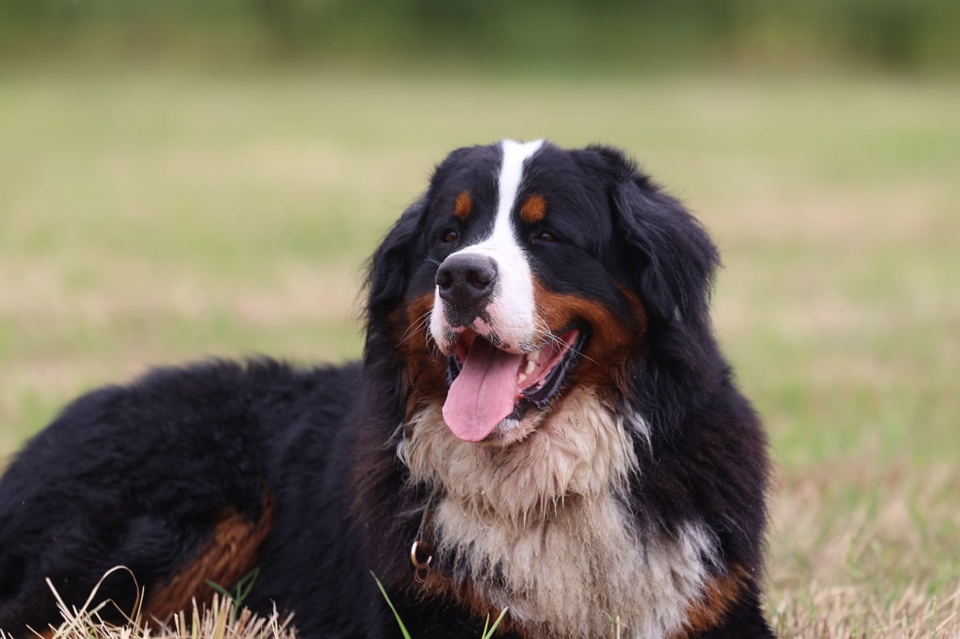 Publication : Mélina BIGOT Auteur : Mélina B.