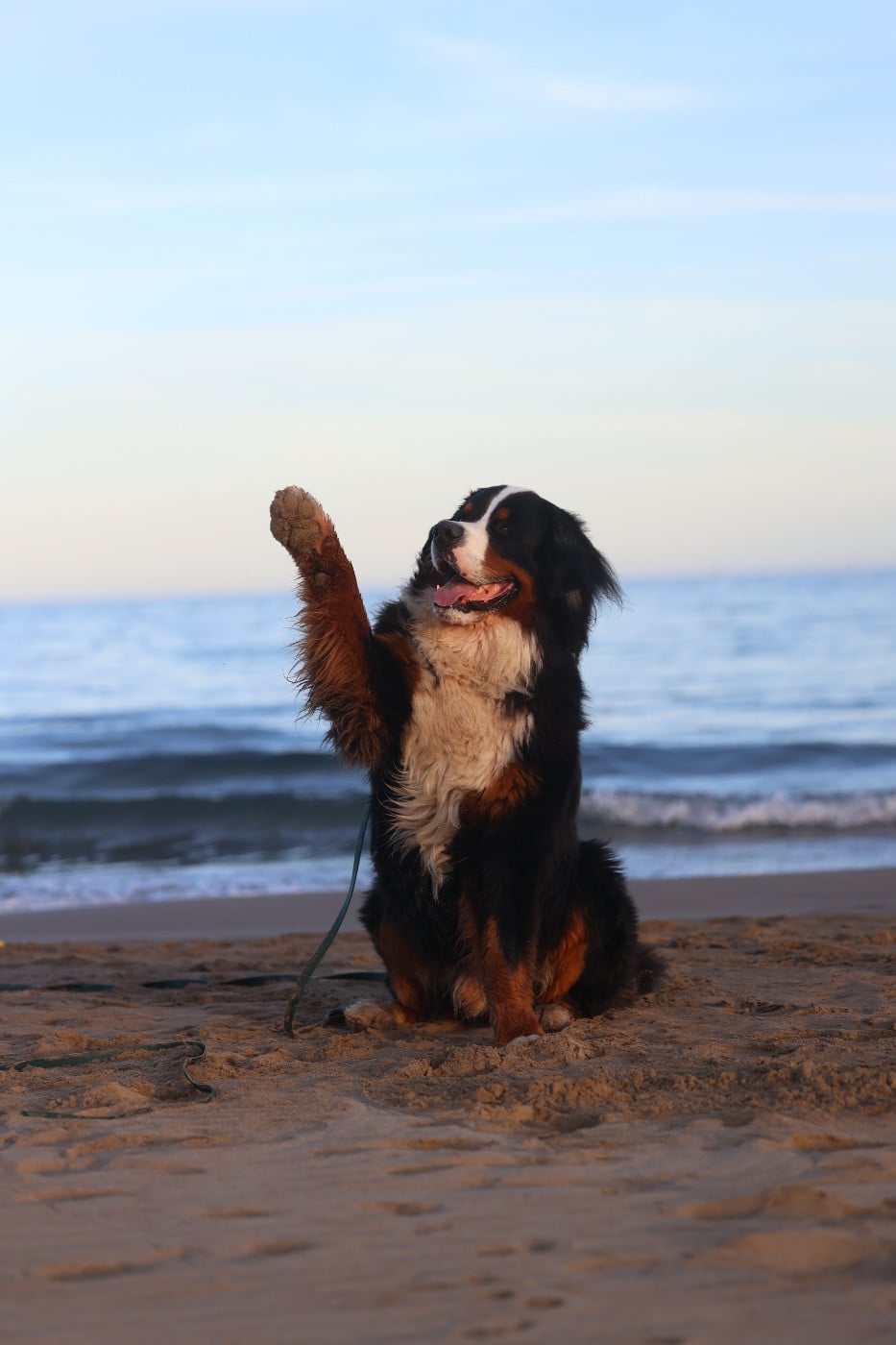 Publication : Mélina BIGOT Auteur : Mélina B.