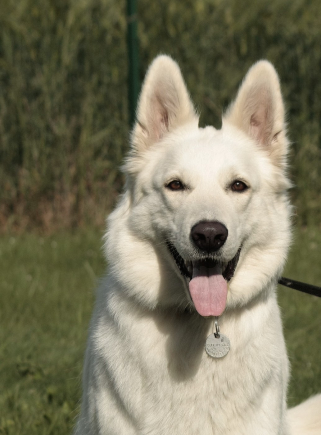 TiDoom Djebelle (Sans Affixe)