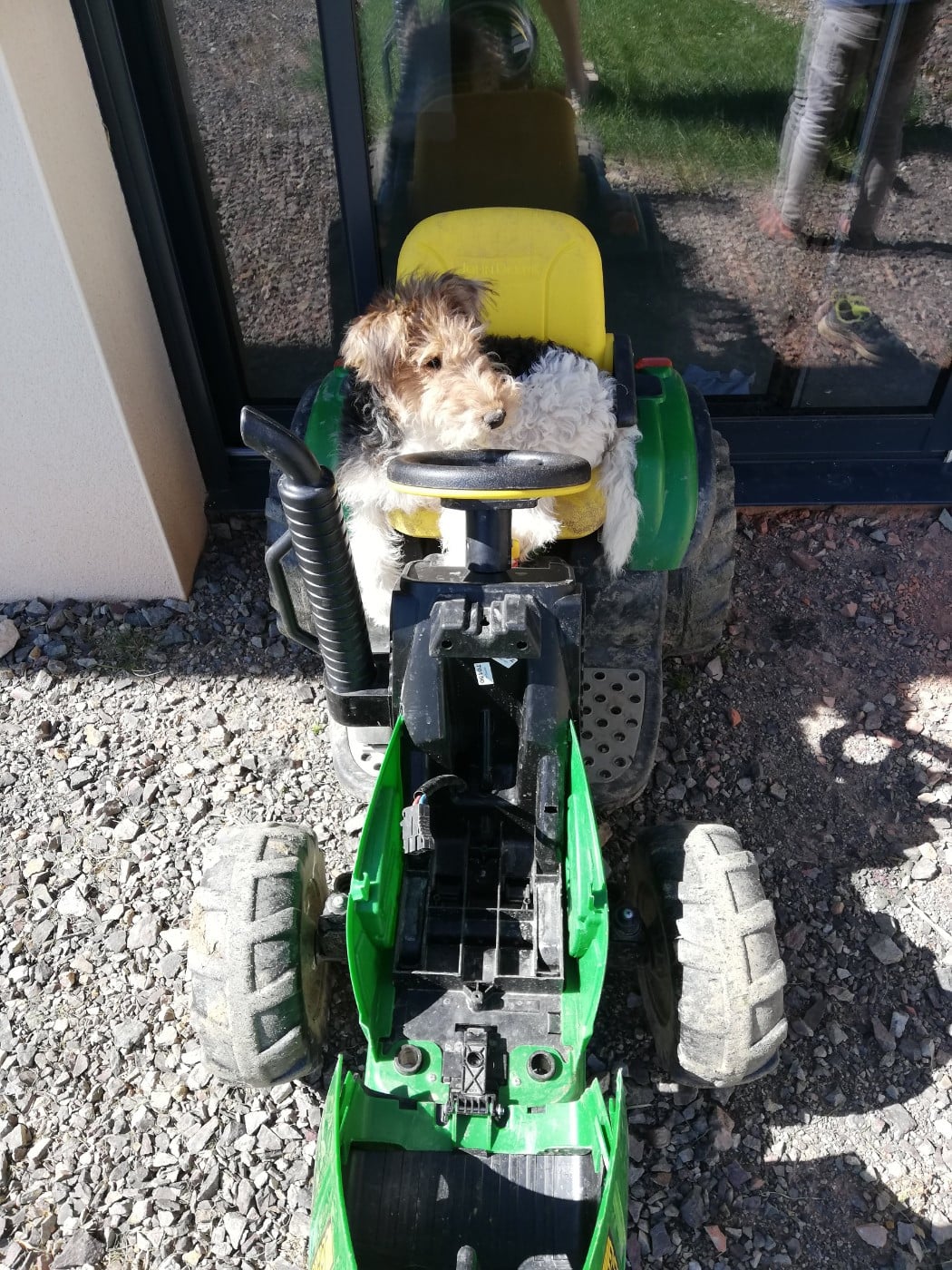 Pupille De la rose magique