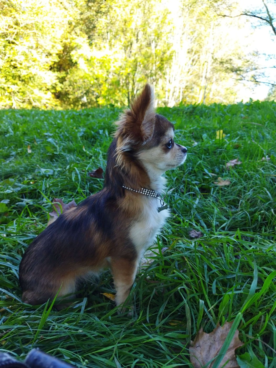 Val'Uta Des Trésors Du Vallon
