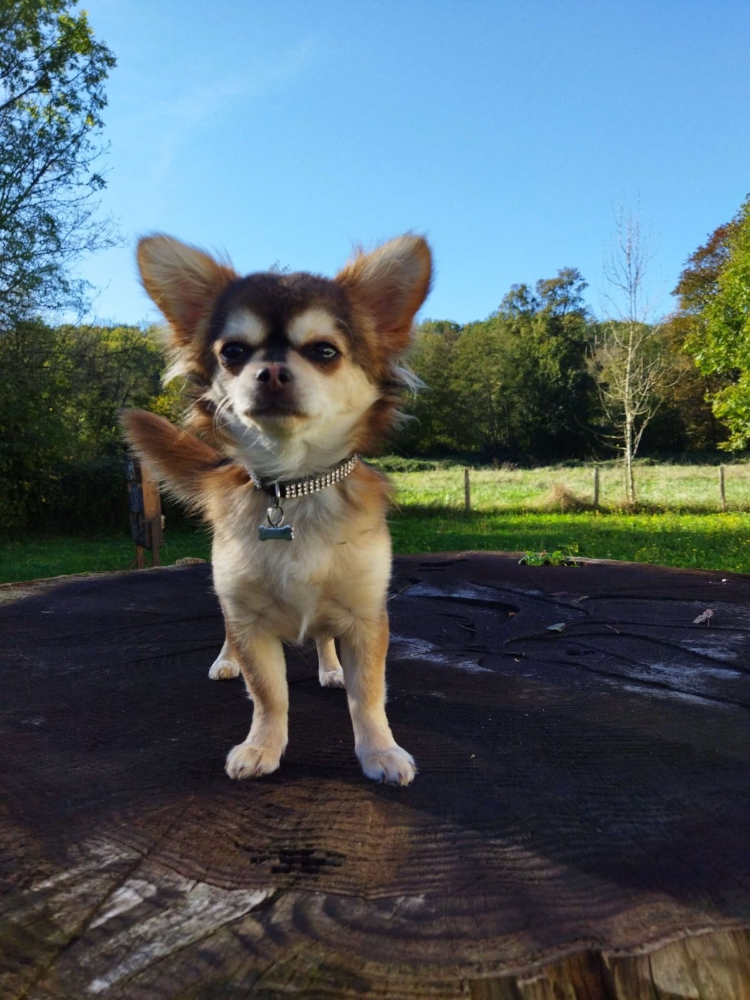 Val'Uta Des Trésors Du Vallon