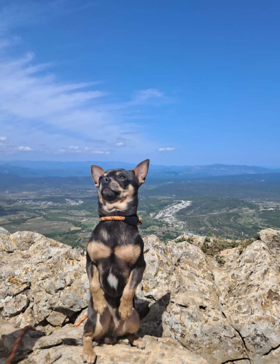 Uzumaki des hobereaux d’argogne