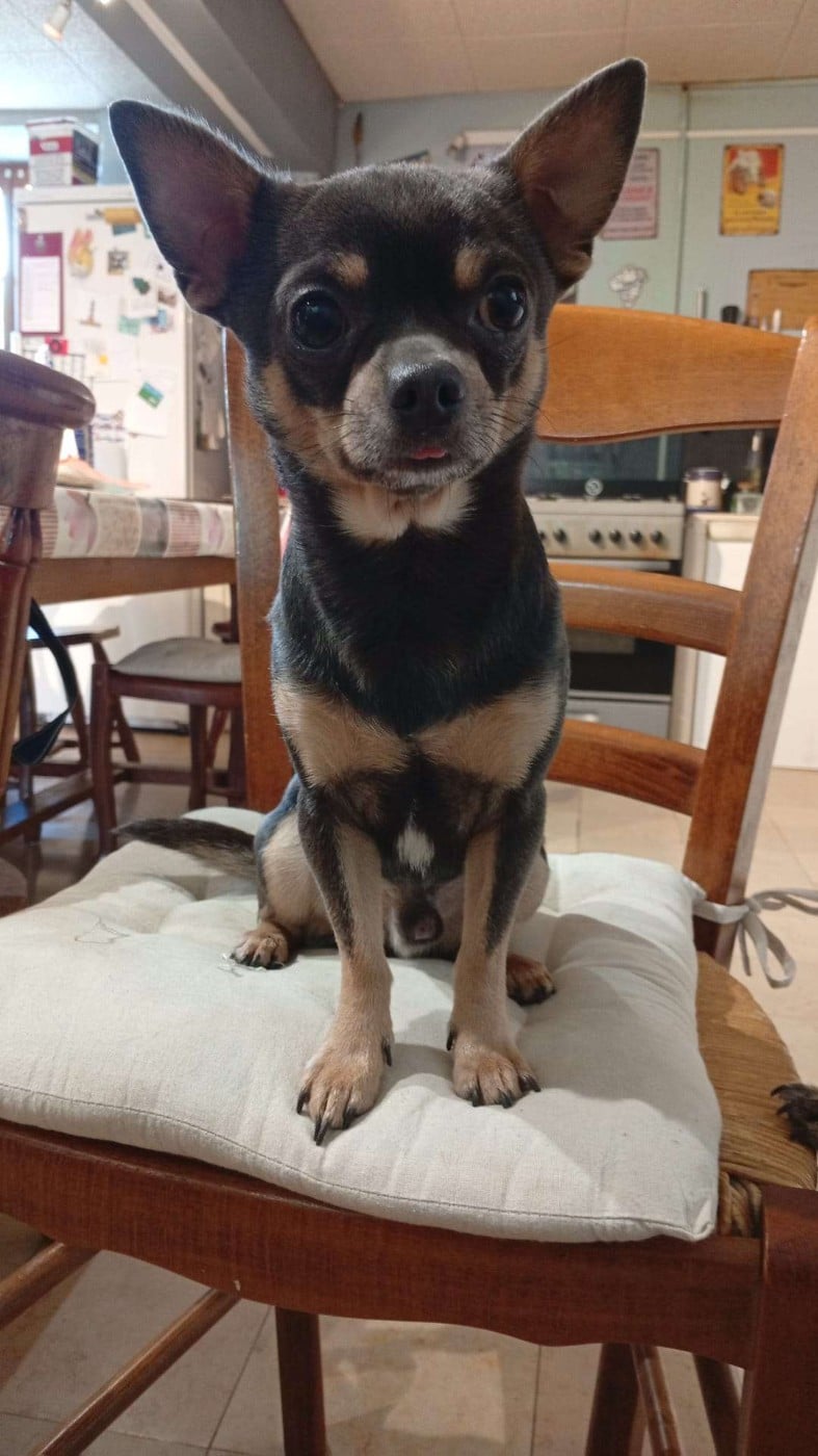 Uzumaki des hobereaux d’argogne