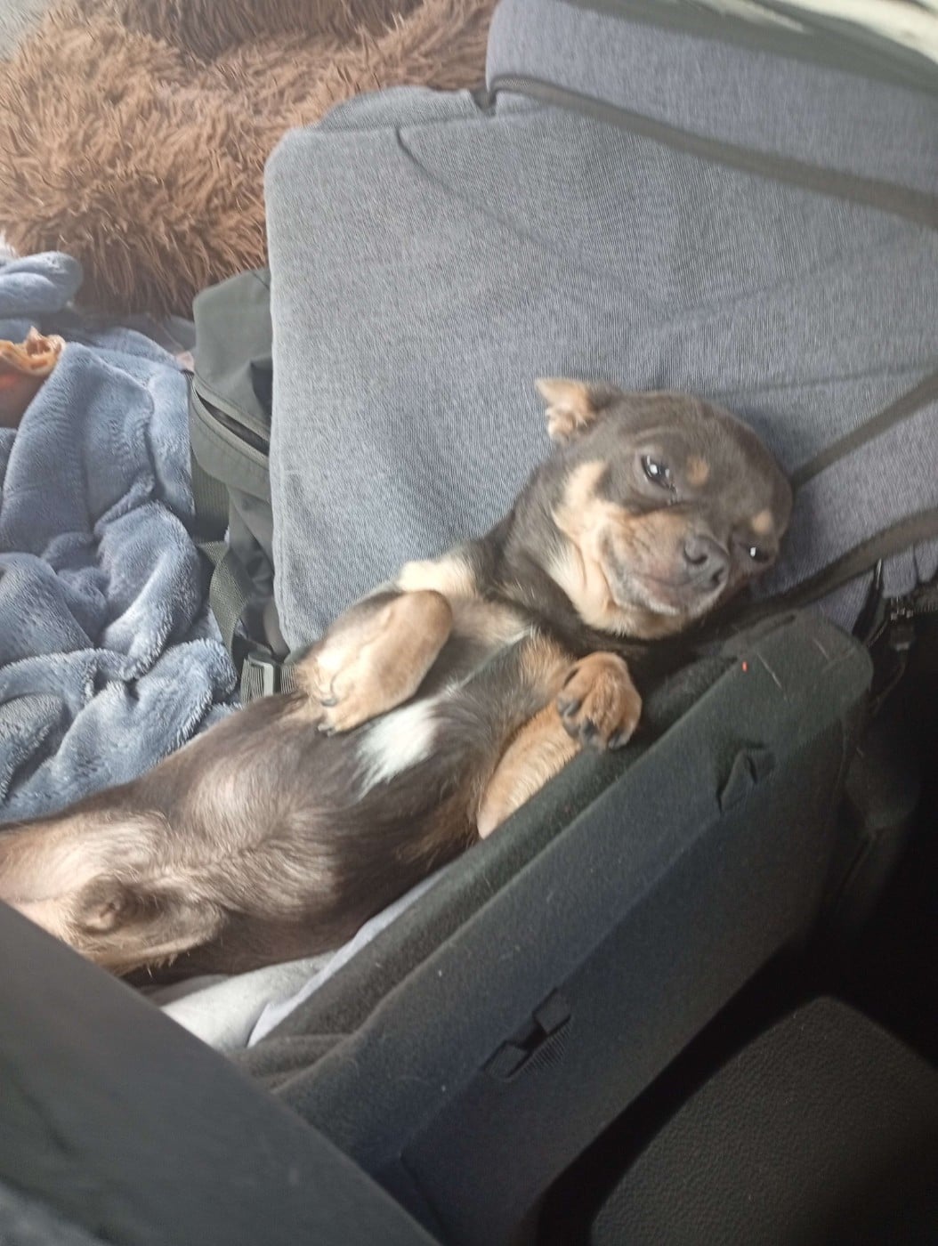 Uzumaki des hobereaux d’argogne